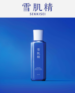 sekkisei